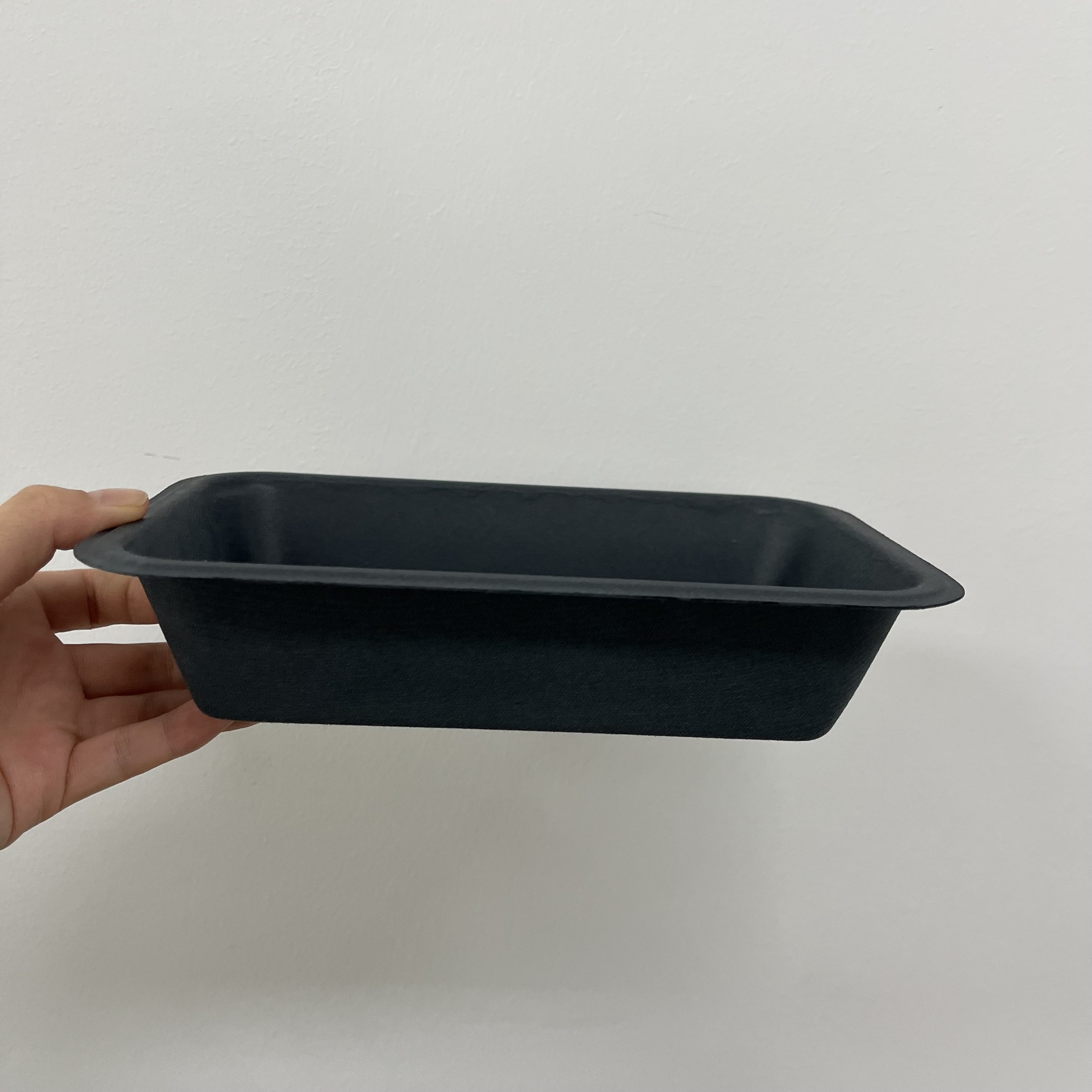 Disposable Black Sgarcane Bagasse Pulp Food Trays​