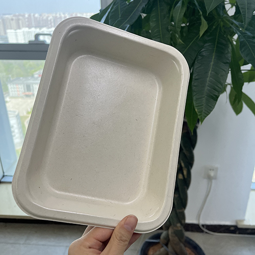 UK Plastic Waste Crisis
