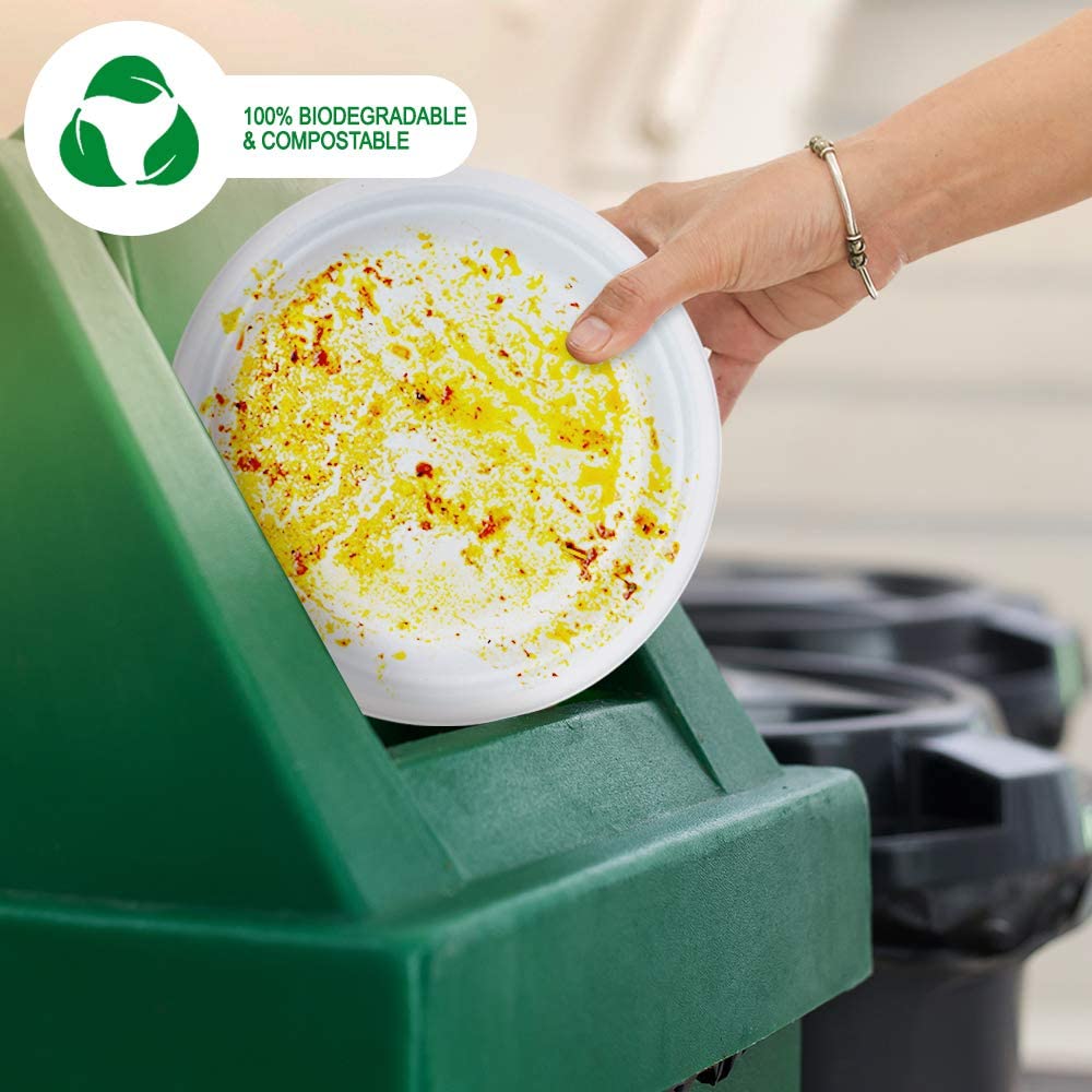 How to Dispose of Broken Plates in the UK – And Why Bagasse Plates Are the Sustainable Alternative