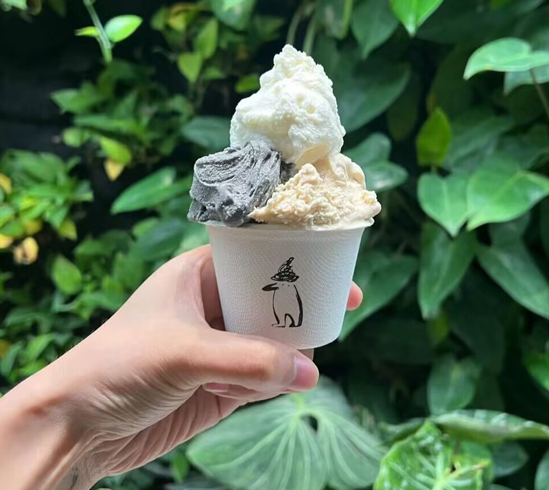 disposable ice cream bowls