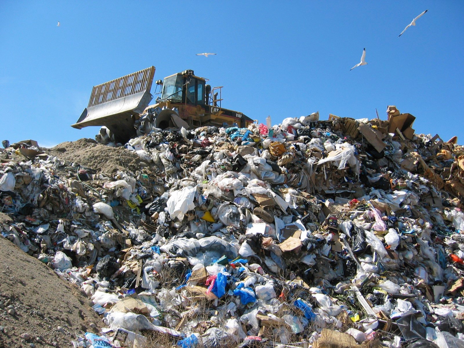 The UK Must Act Now to End Plastic Waste Exports: Stopping “Waste Colonialism”