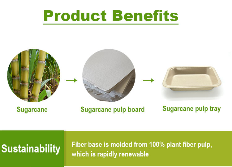compostable food tray