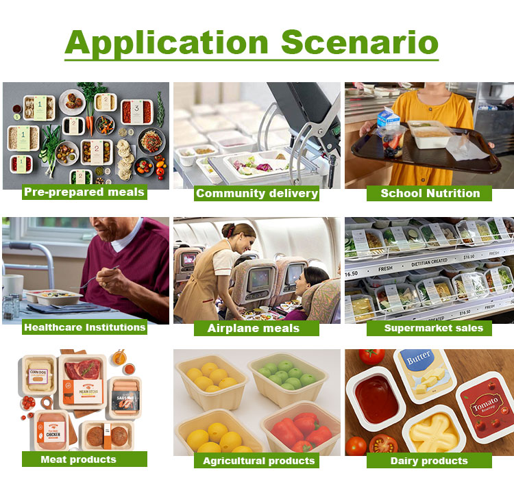 biodegradable reday meal tray