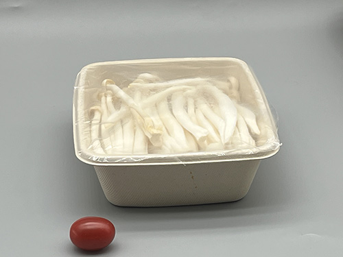 Bagasse Compostable Fiber Mushroom Tray with Coating