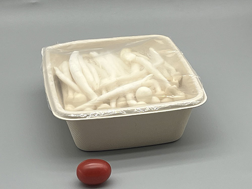 Bagasse Compostable Fiber Mushroom Tray with Coating