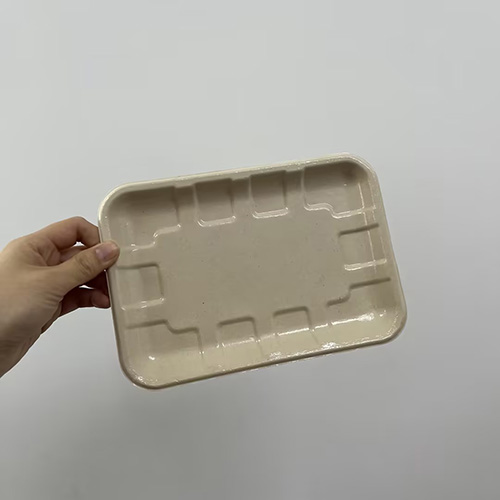 Bagasse Compostable Fiber Disposable Meat Trays​ with Coating