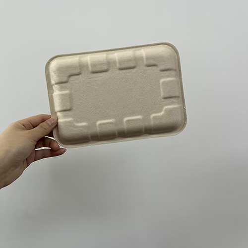 Bagasse Compostable Fiber Disposable Meat Trays​ with Coating