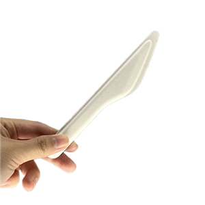 Disposable Compostable Bagasse Paper Knife