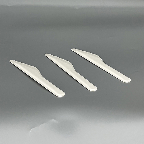 Disposable Compostable Bagasse Paper Knife