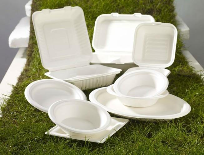 Sugarcane Bagasse Tableware Sugarcane Bagasse Tableware