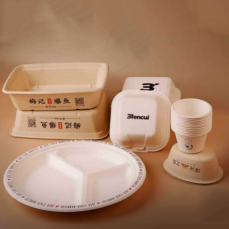 Georgia Introduces Broad Ban on Single-Use Plastic Foodware