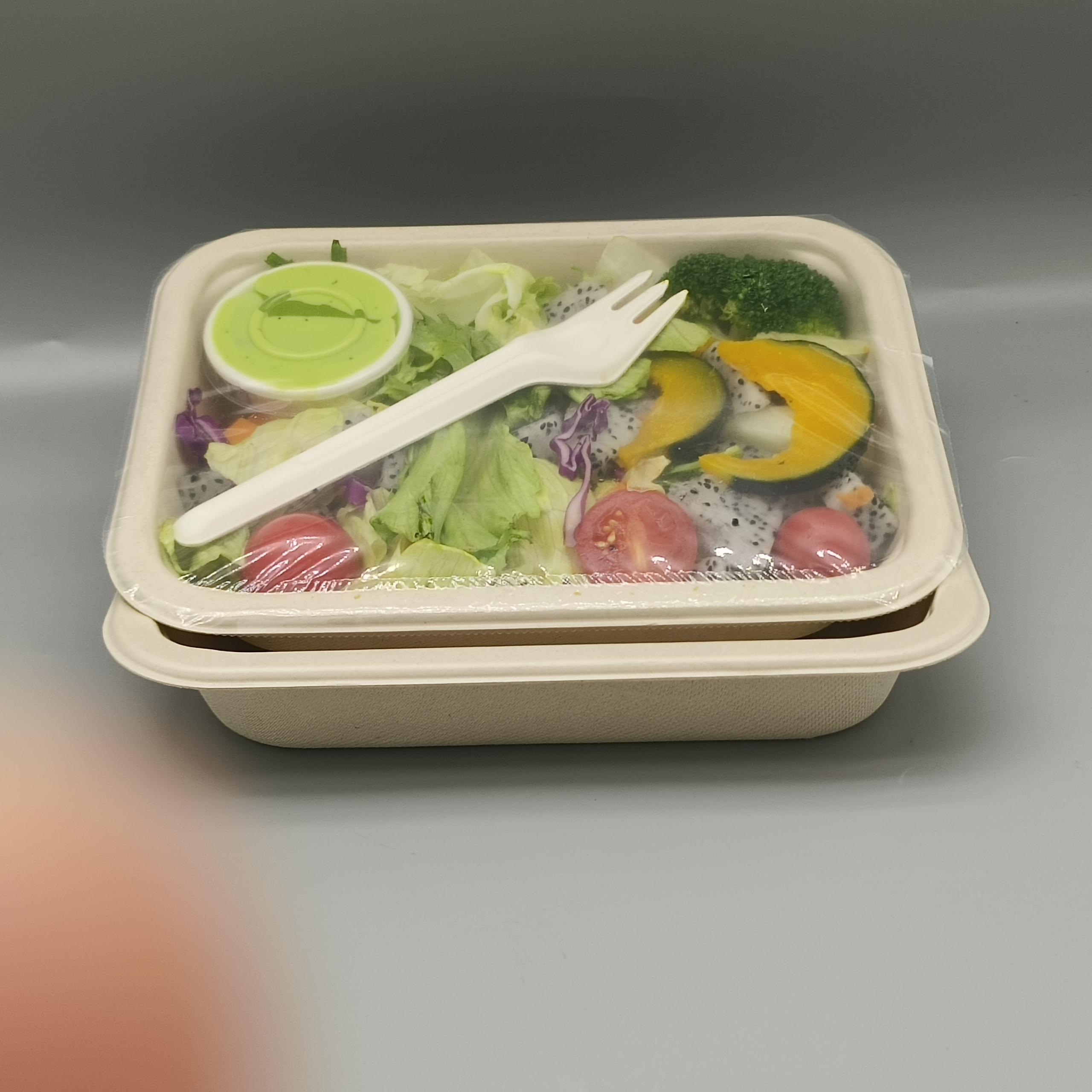 Microwave Safe Takeaway Boxes