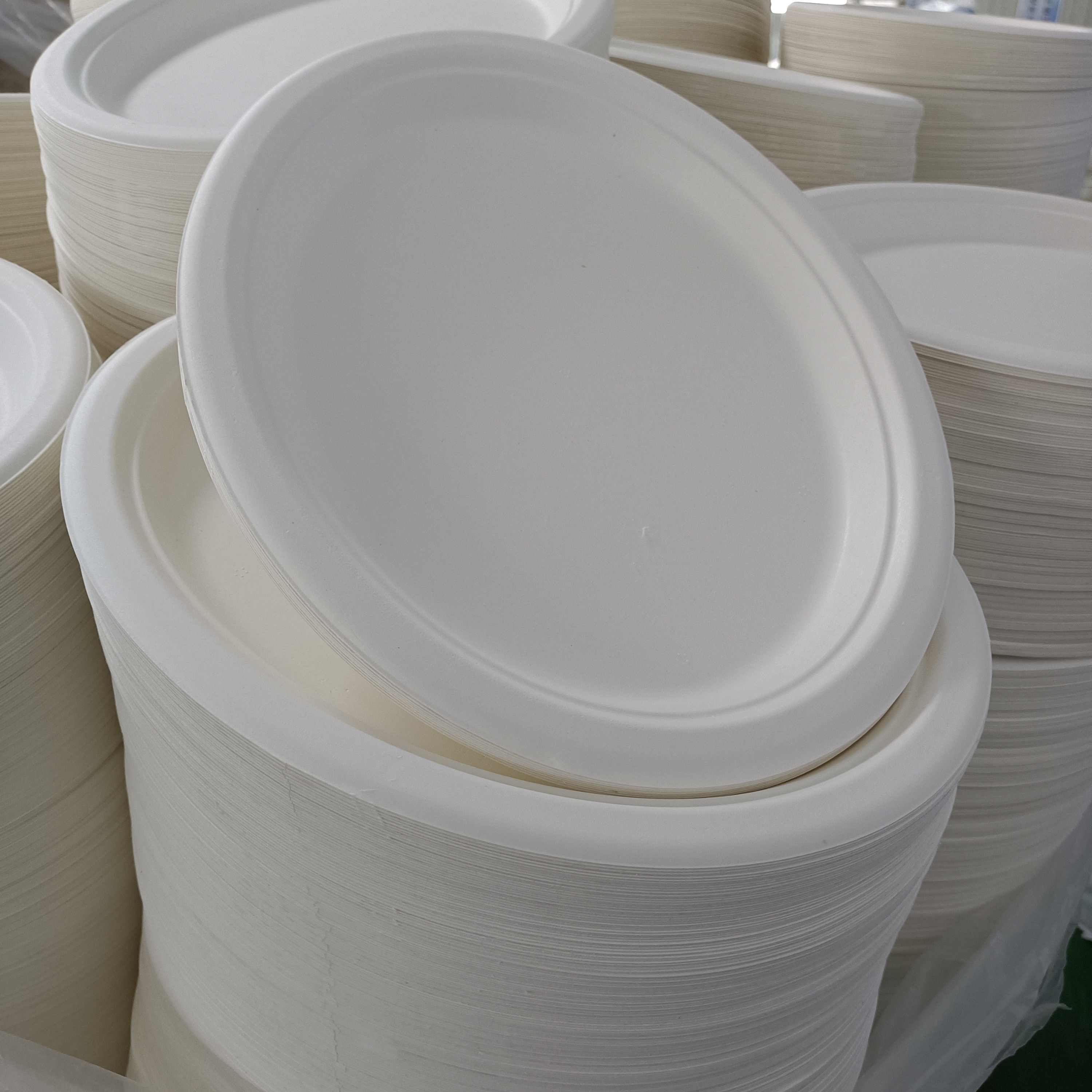 Bagasse Plates Meaning: What They Are and Why Distributors Are Paying Attention