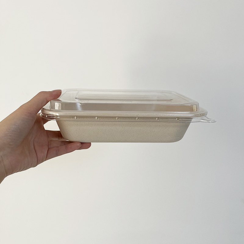Sugarcane Bagasse Meal Prep Containers with Coated and Lid