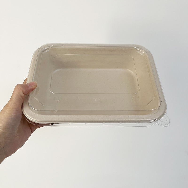 Sugarcane Bagasse Meal Prep Containers with Coated and Lid