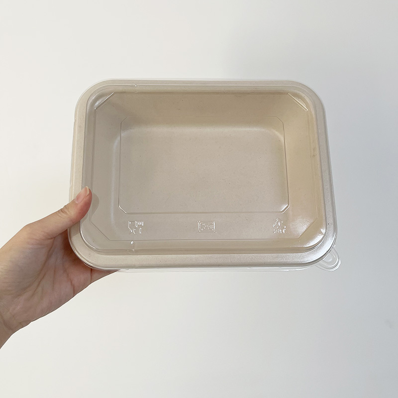 Sugarcane Bagasse Meal Prep Containers with Coated and Lid