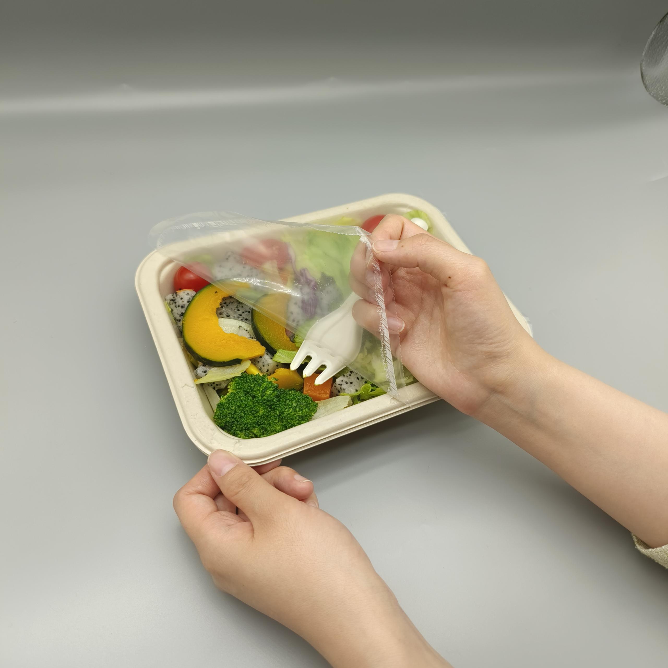 Sugarcane Bagasse Meal Box