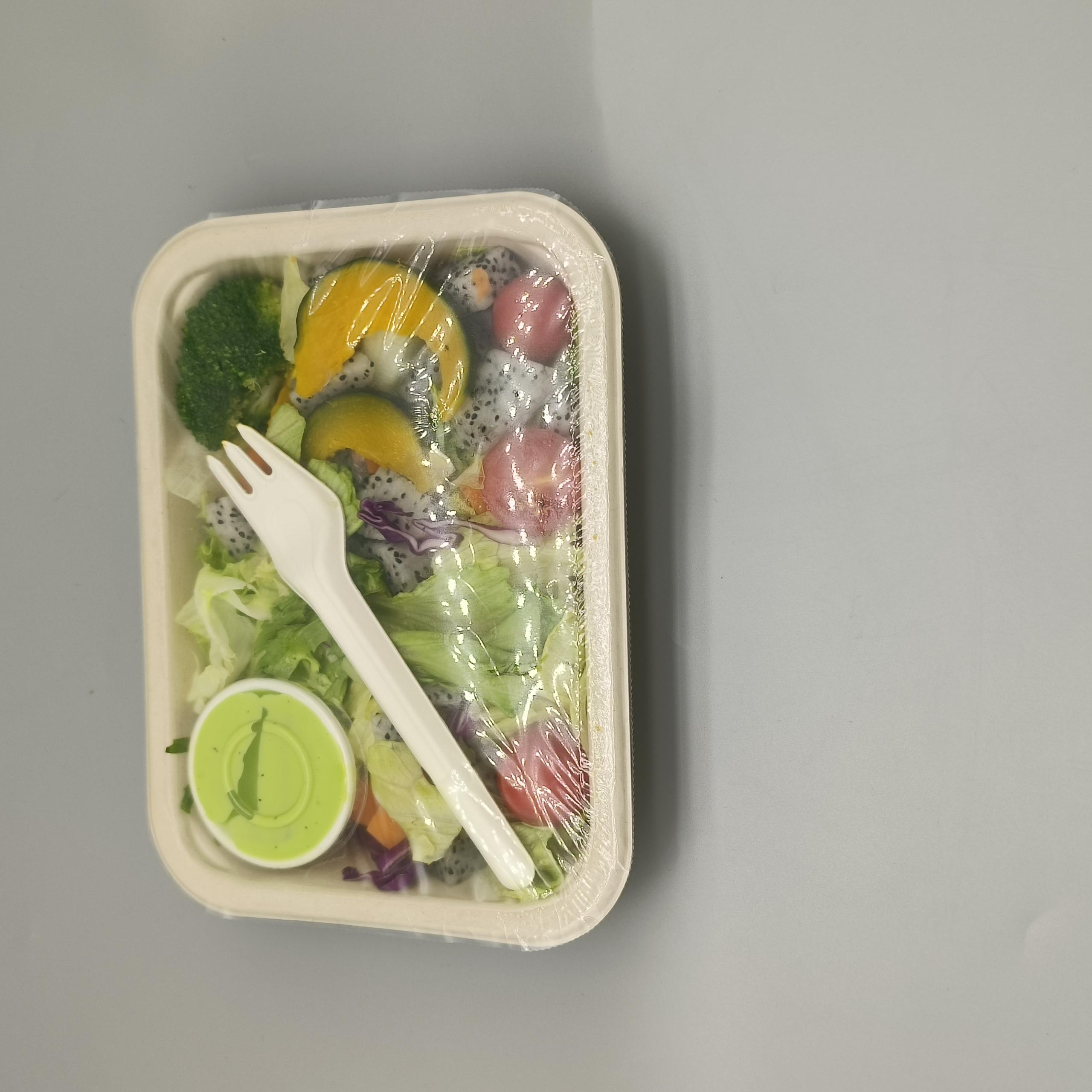 Sugarcane Bagasse Coated Ready Meal Tray