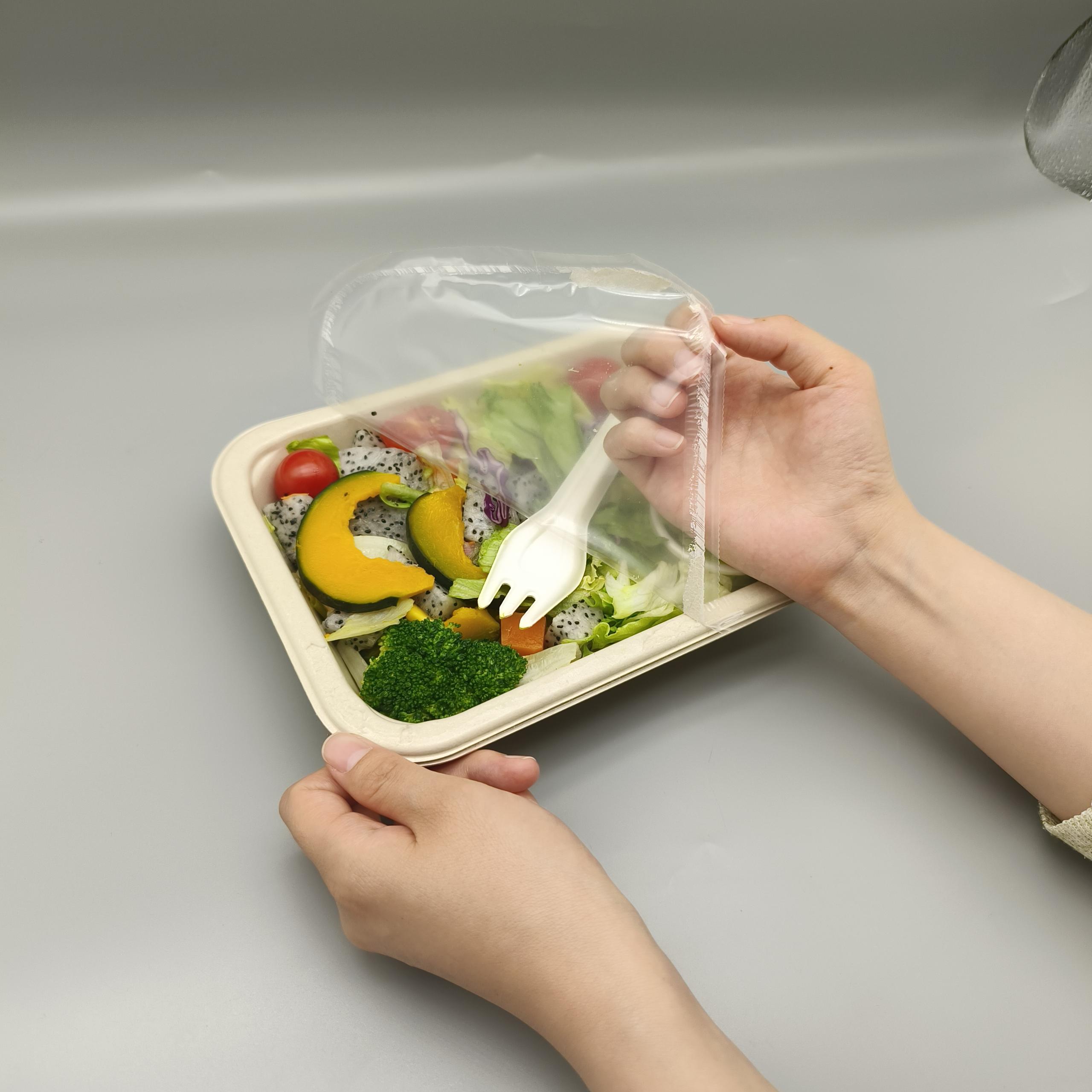 Eco-Friendly Ready Meal Tray