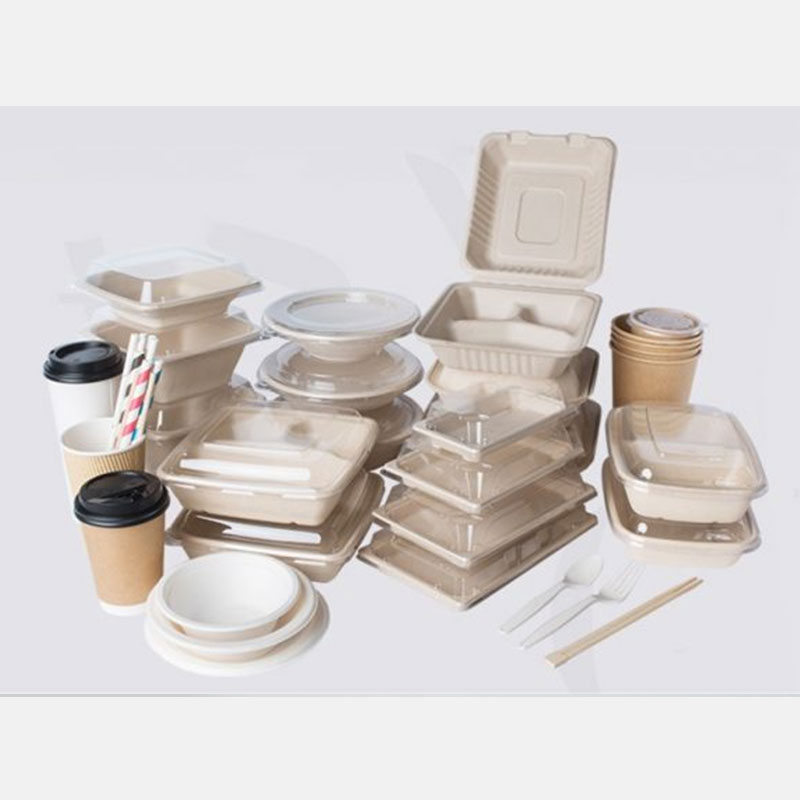Georgia’s 2026 Plastic Ban: Why Sugarcane Bagasse Ready Meal Trays Are the Future for Food Service