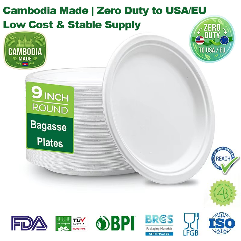Navigating Global Plastic Bans with High-Quality Sugarcane Bagasse Food Packaging