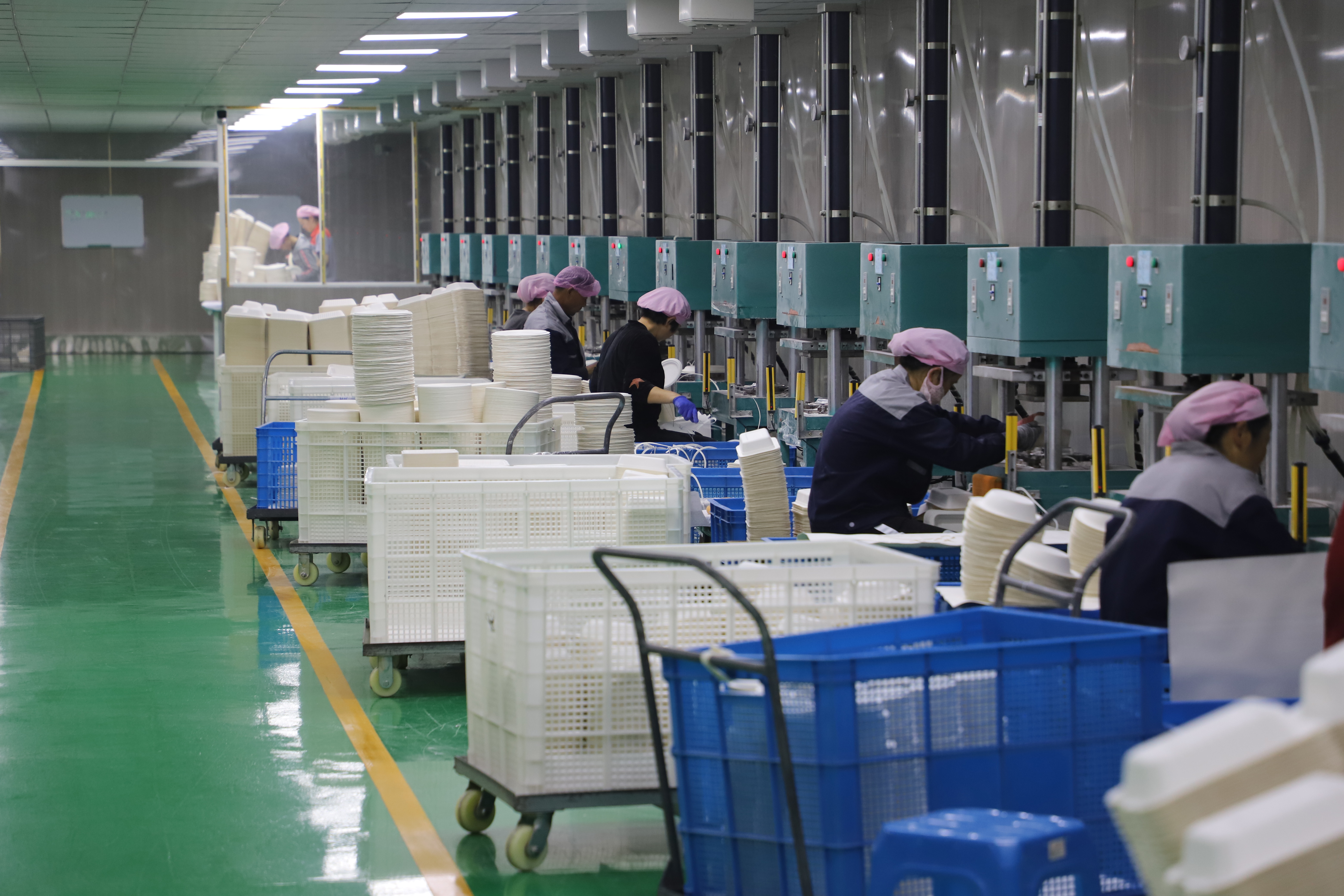 The Cambodia Advantage: Navigating US Anti-Dumping Duties and Supply Chain Optimization in Sustainable Tableware
