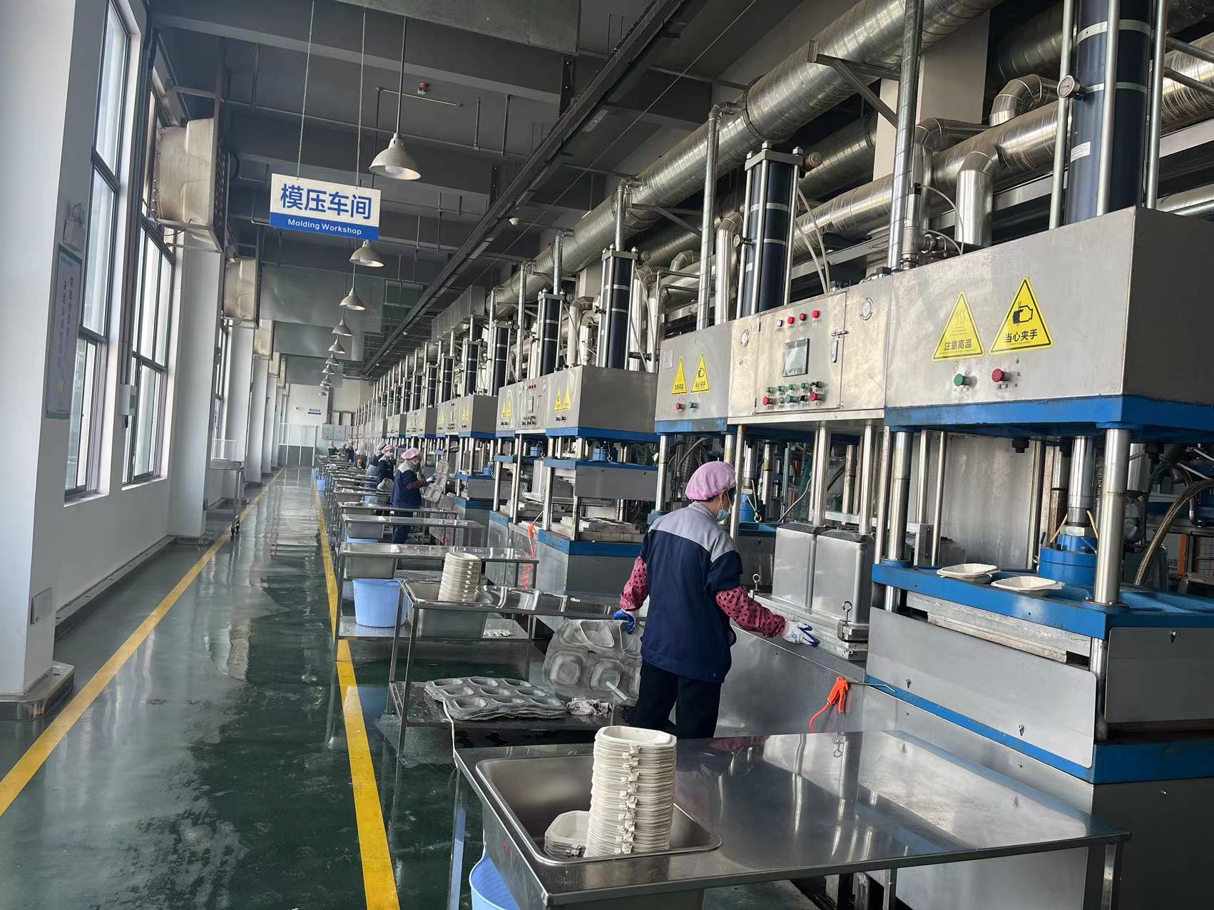 Supply Chain Resilience in 2026: Why Cambodia is Outpacing Vietnam and Malaysia in the Race for ESG-Compliant Bagasse Tableware