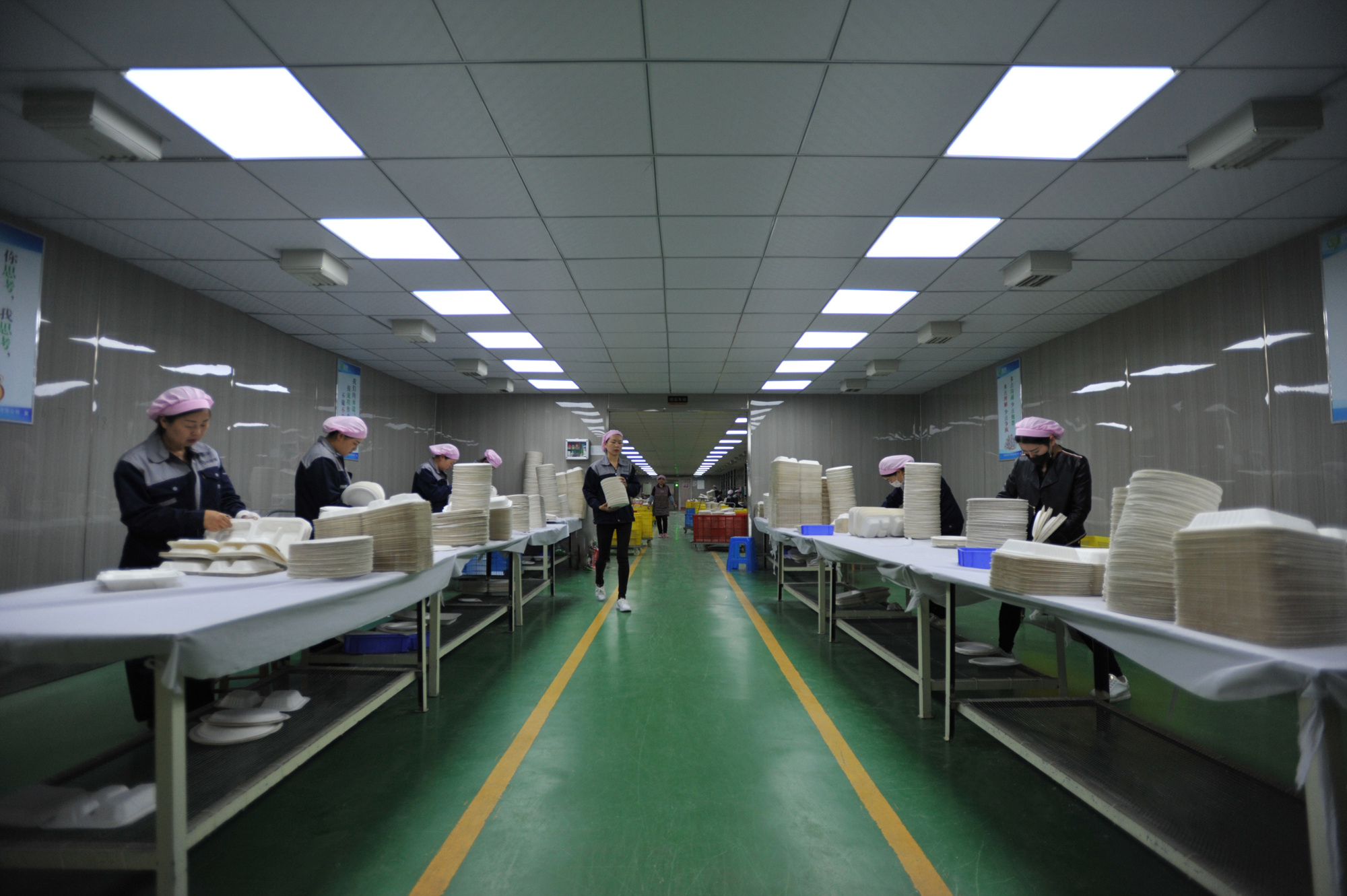 The 2026 Wholesale Sourcing Crisis: Why 'Traders' are Being Replaced by Direct Bagasse Plate Manufacturers in Cambodia