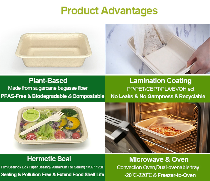 sugarcane food tray sugarcane food tray