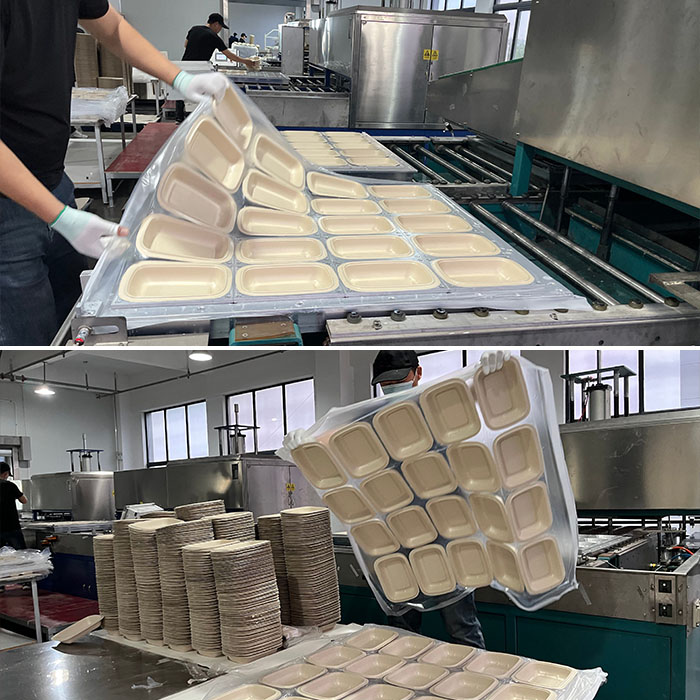 disposable food tray packaging disposable food tray packaging