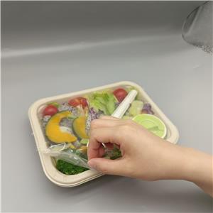 High-Barrier Laminated Sugarcane Food Containers | EVOH & CPET Options