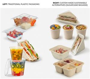 Custom Molded Pulp Packaging Design | 1:1 Plastic-to-Bagasse Conversion