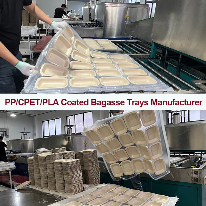 Custom Molded Pulp Packaging Design | 1:1 Plastic-to-Bagasse Conversion