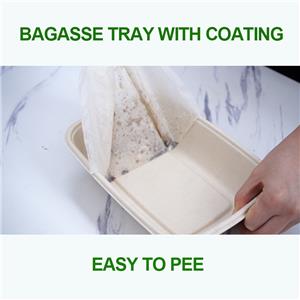 Laminated Heat Seal Sugarcane Trays Manufacturer | Sustainable Food Packaging