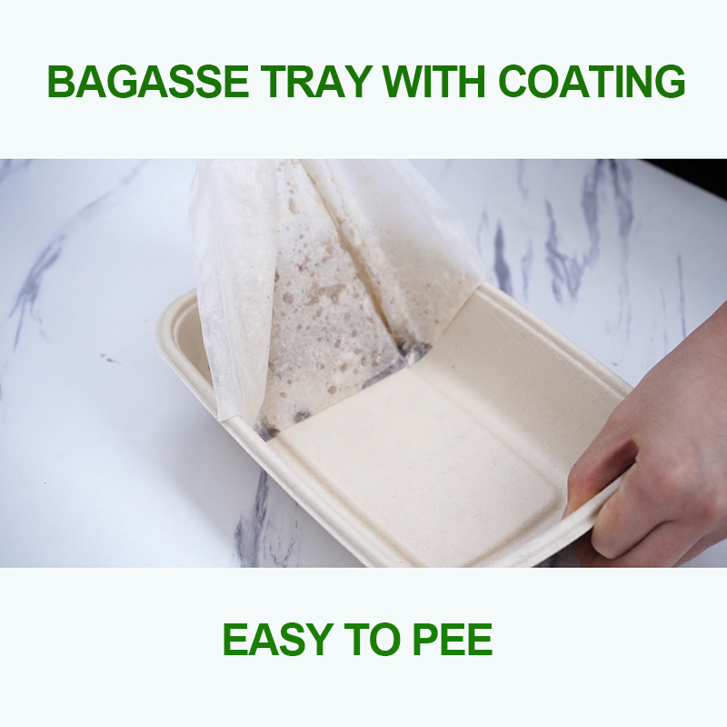 Laminated Sugarcane Bagasse Trays