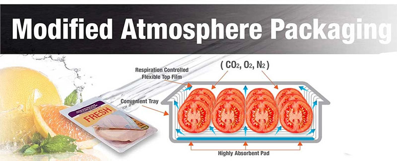 MAP Compatible Bagasse Trays