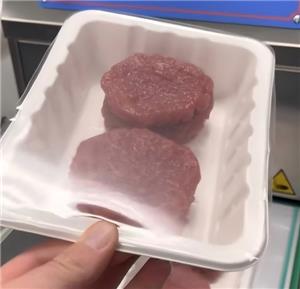 Modified Atmosphere Packaging Trays | Bagasse Coated Food Trays Manufacturer