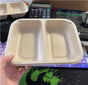 200*155mm Natural 2-Compartment Laminated Bagasse Trays