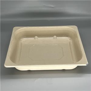 325x265mm Large PFAS-Free Laminated Bagasse Trays