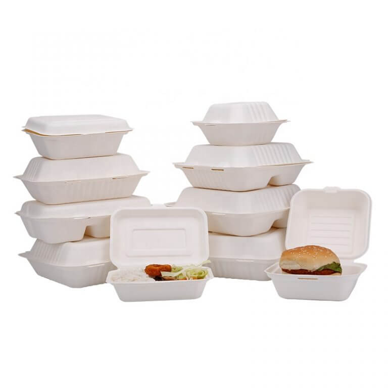 Sugarcane Bagasse Box