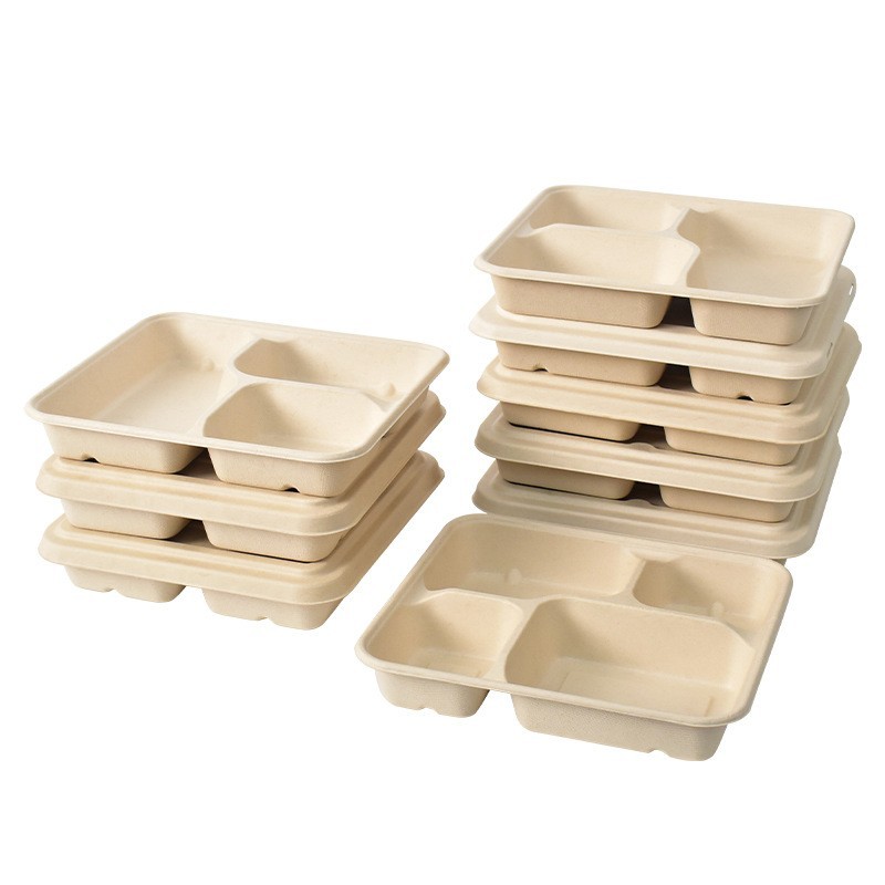 Sugarcane Bagasse Tray