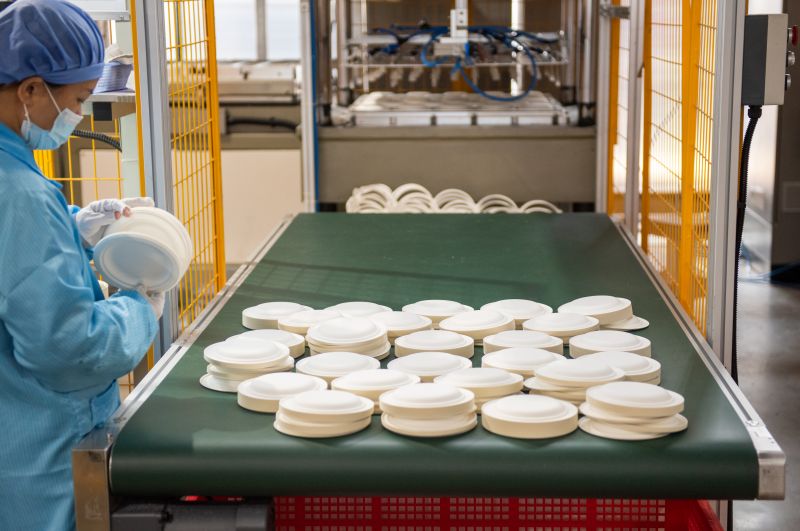 Bagasse Plate Manufacturers - Compostable Sugarcane & Disposable Plates Wholesale