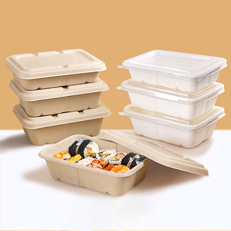 Biodegradable Food Containers Manufacturer - Compostable Bagasse Food Containers