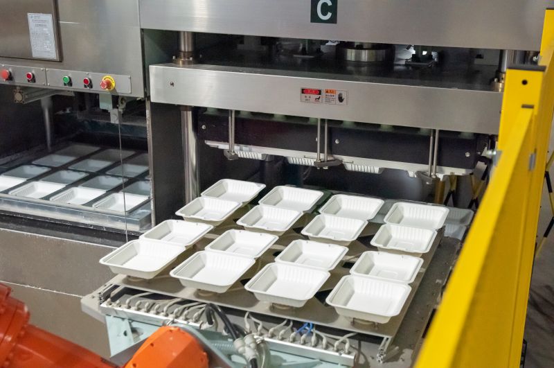 Biodegradable Food Containers Manufacturer - Compostable Bagasse Food Containers