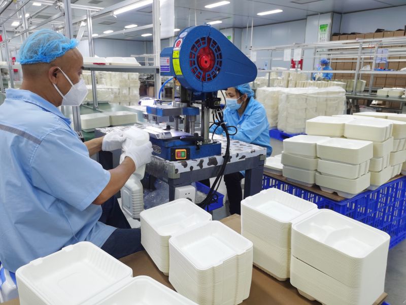 Biodegradable Food Containers Manufacturer - Compostable Bagasse Food Containers