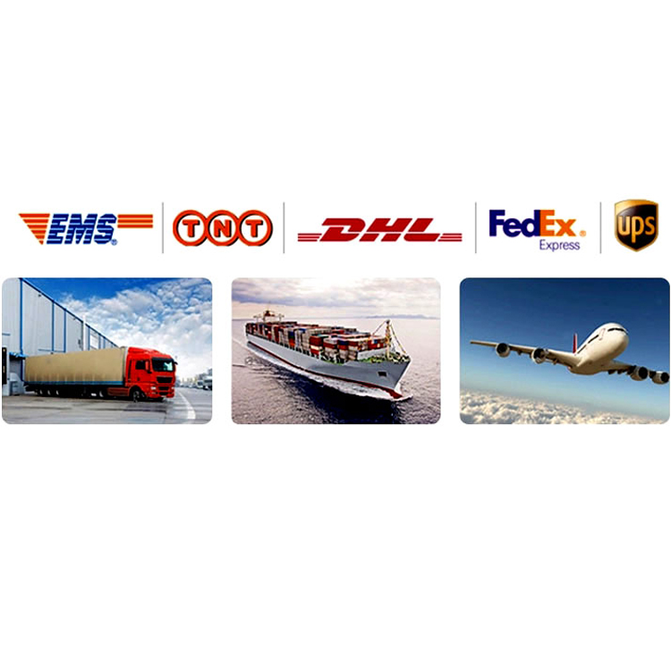 Логистика Транспорт