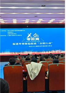 AEO-Systemtreffen, strengere Auflagen, besser sein