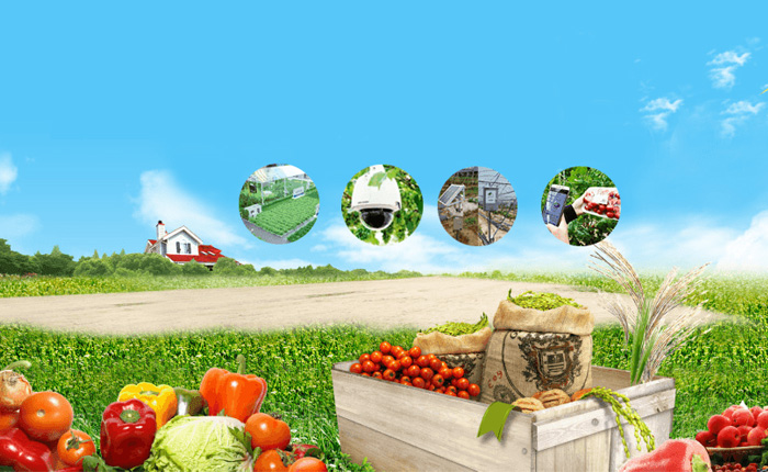 INTERVIEW: Food Systems Contribute to Solving ‘world's Most Important Challenges’