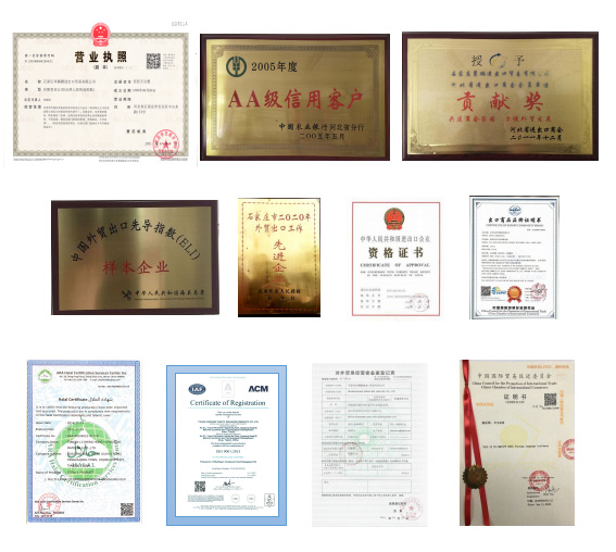 Company with Integrity Credibility and Strength