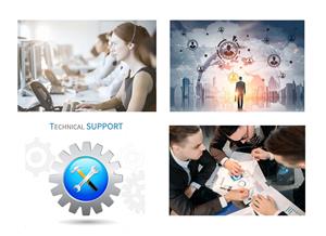 World Food Programme halts Gaza staff movements